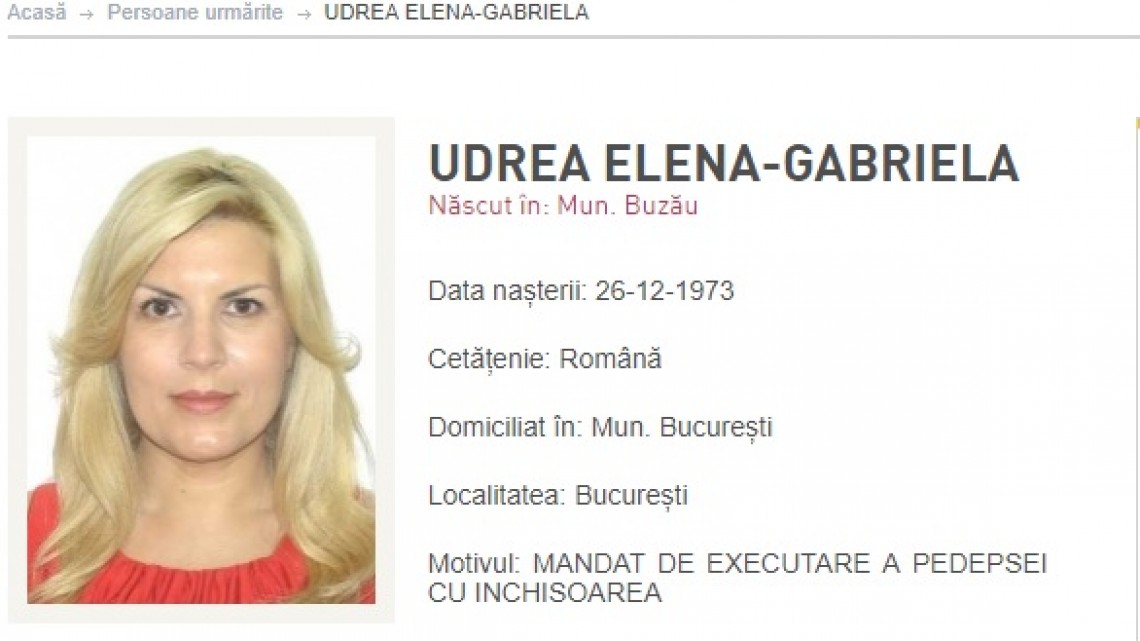 Elena Udrea, fost ministru, actualmente urmărită pentru executarea pedepsei
sursa FOTO: Poliția Română