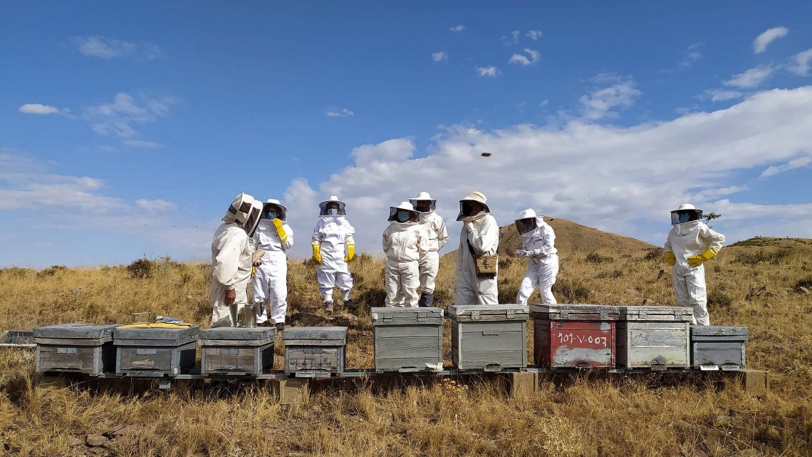 Laura Provincial și participanții la cursul de apicultură 2019-2020 din Illueca. Participanții sunt profesori înșiși la centrele de formare profesională din regiunea spaniolă Aragón. [Foto: Laura Provincial Simón]