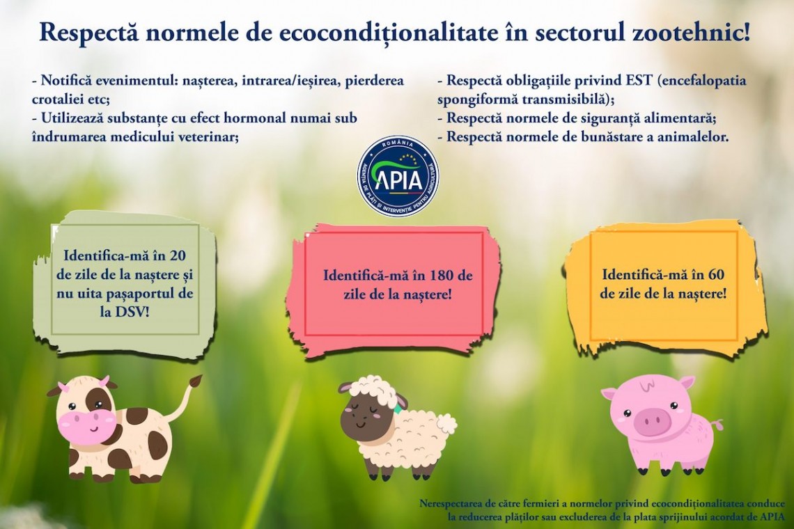 Exemplu din materialele de informare APIA cu privire la regulile ecologice (ecocondiționalitatea)