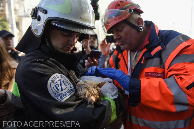 Pisică salvată dintr-o clădire distrusă de o dronă rusească, Kiev, 17 octombrie 2022