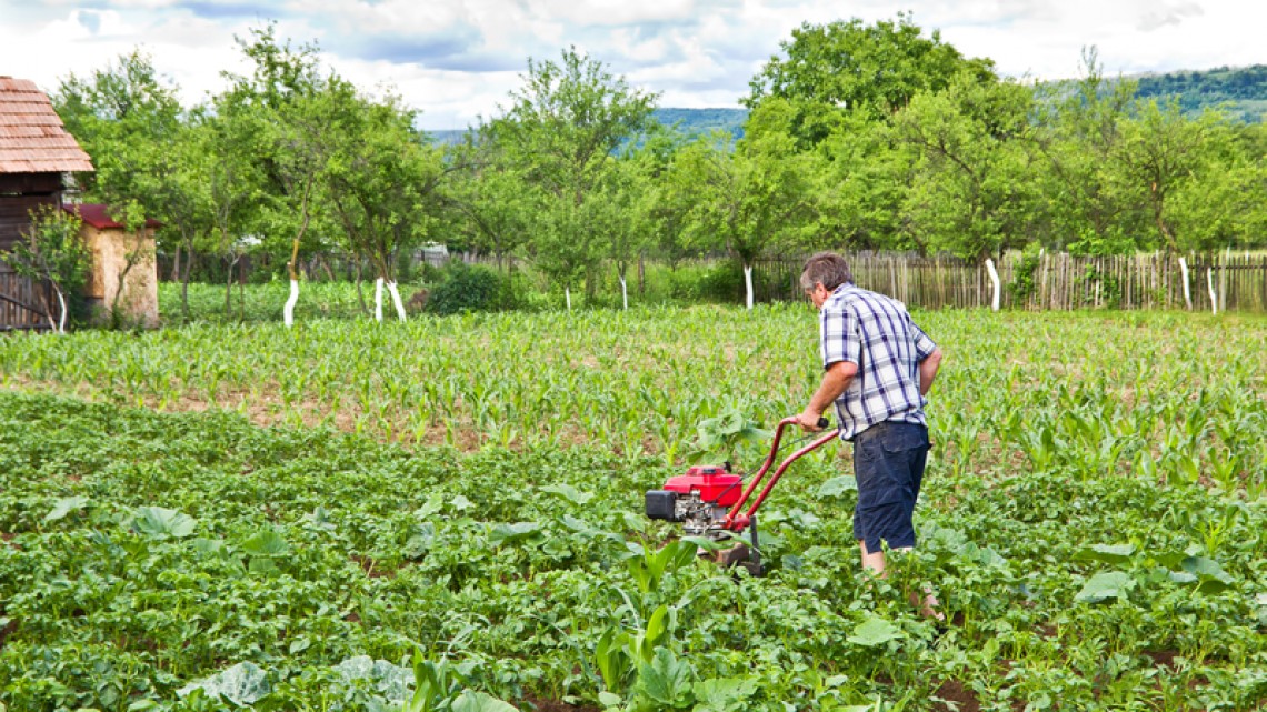 România are nevoie să își modernizeze agricultura, cu respect pentru om și natură. / Sursa foto: Photo <a href=