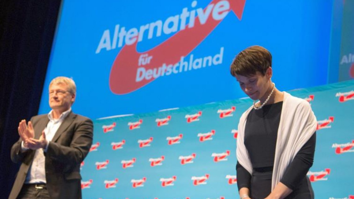 Joerg Meuthen (stânga) și Frauke Petry (dreapta) - Partidul Alternativa pentru Germania
