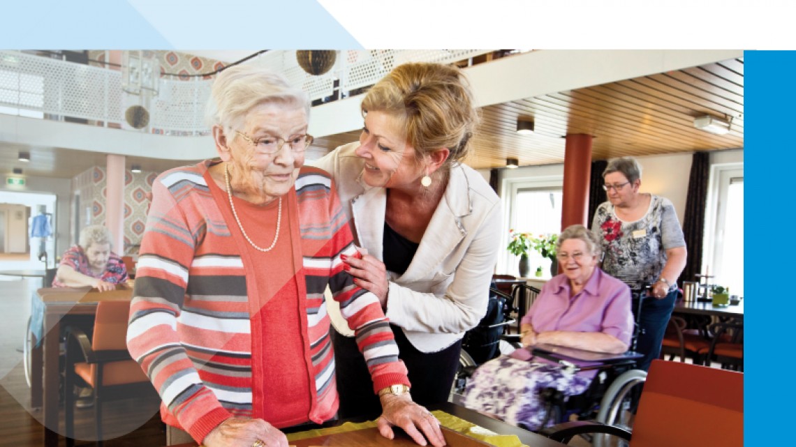 Sursă foto: captură raport Eurofound „Centre de îngrijire pentru europenii vârstnici: furnizori publici, privați și non-profit”
